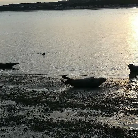 Cap Sud Vue A 30m De La דירה *